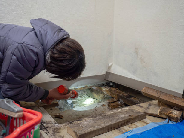 Best Industrial Mold Remediation  in Miami Heights, OH