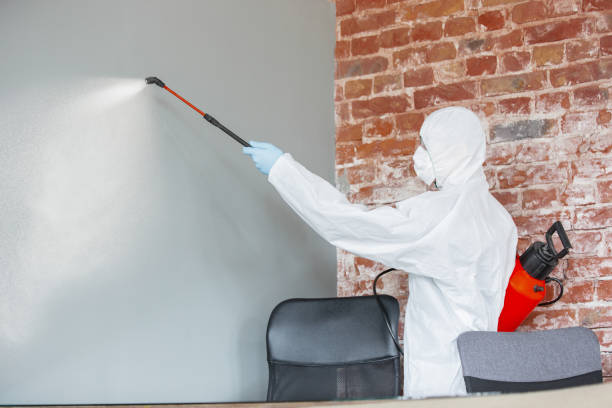 Best Asbestos and Lead Testing During Mold Inspection  in Miami Heights, OH