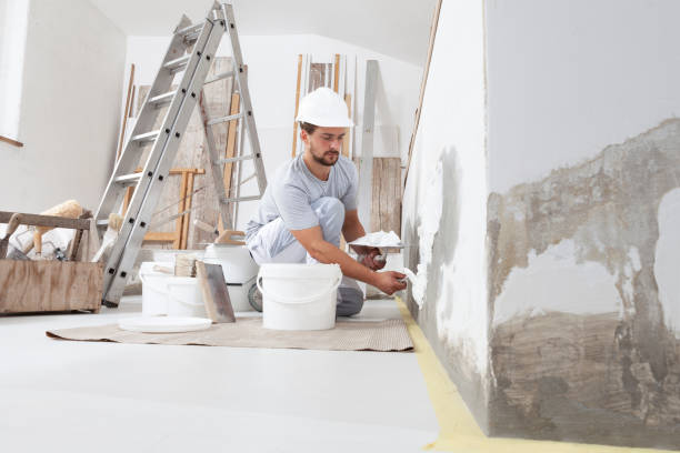 Best Dehumidification Services  in Miami Heights, OH