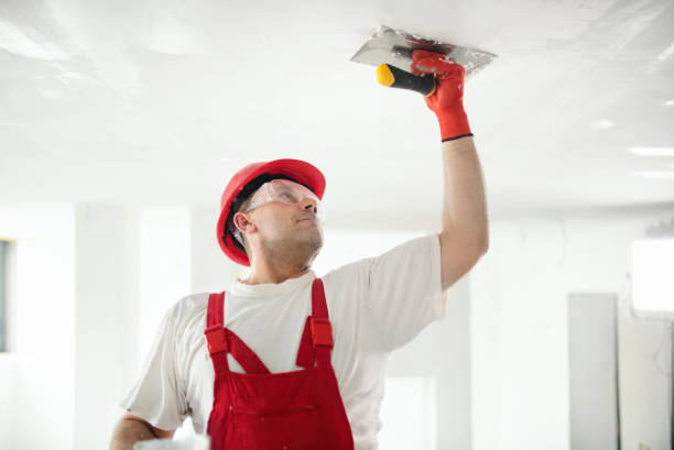 Best Residential Mold Inspection & Testing  in Miami Heights, OH