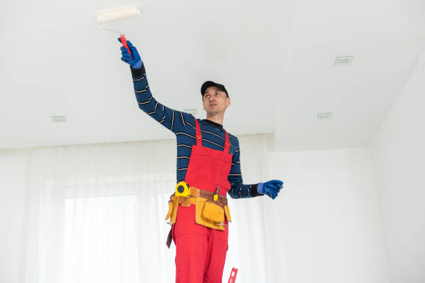 Best Crawl Space Mold Remediation  in Miami Heights, OH